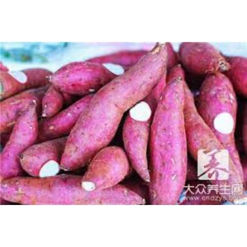 新鲜红皮白薯810g
