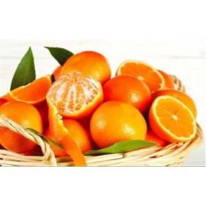 新鲜柑橘约980g