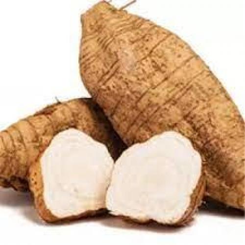 新鲜粉葛800g